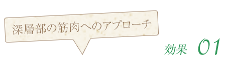 深層部の筋肉へのアプローチ