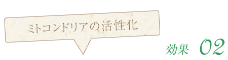 ミトコンドリアの活性化