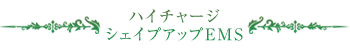 ハイチャージ シェイプアップEMSコース